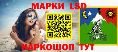 apvp Бийск