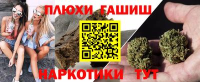 apvp Бийск