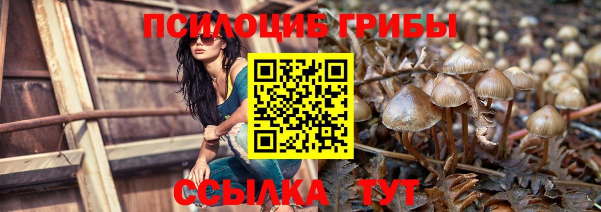 Псилоцибиновые грибы Psilocybine cubensis  Вход с VPN  дарнет шоп  Изобильный  Галлюциногенные грибы мицелий 